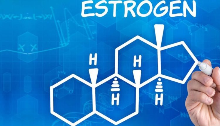 Estrogen là thành phần quan trong có trong kem nở ngực
