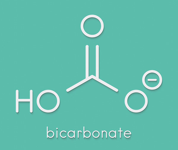 Tăng nồng đọ Bicarbonate trong máu