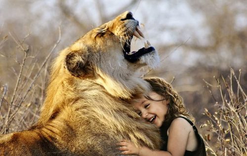 Sư tử bên cô bé