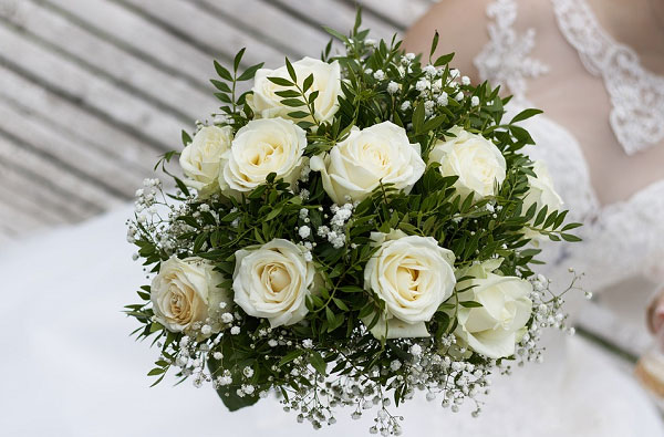 Hoa hồng trắng – Biểu tượng của sự ngây thơ và tinh khiết