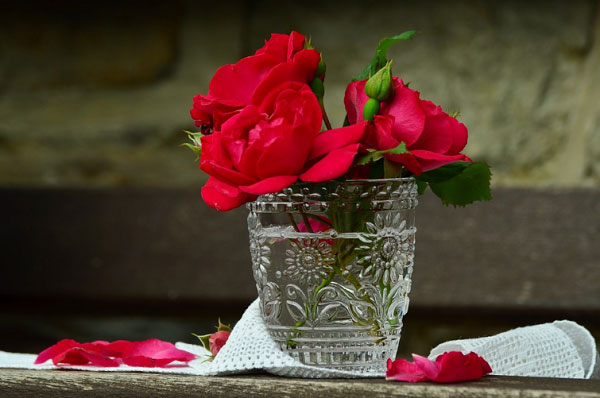 Hoa hồng tường vi đỏ cắm trong ly nước