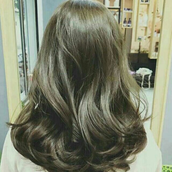 Nâu lạnh rêu xoăn