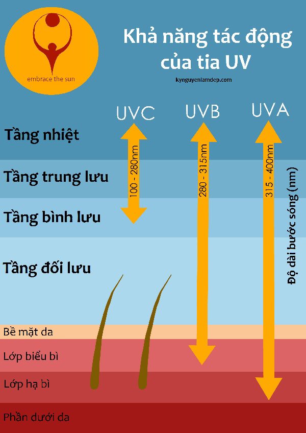Khả năng tác động của các loại tia UV