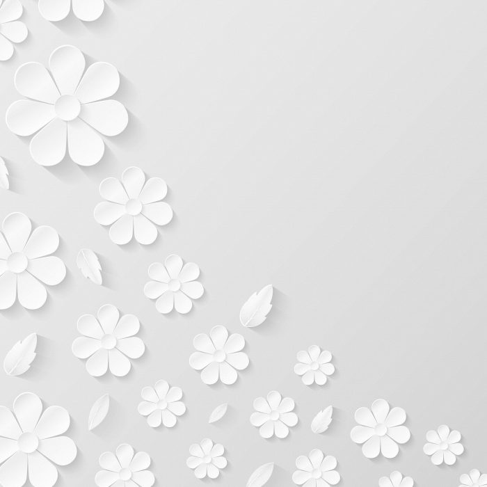 Top hơn 115 hình nền hoa màu trắng tuyệt vời nhất  thdonghoadian