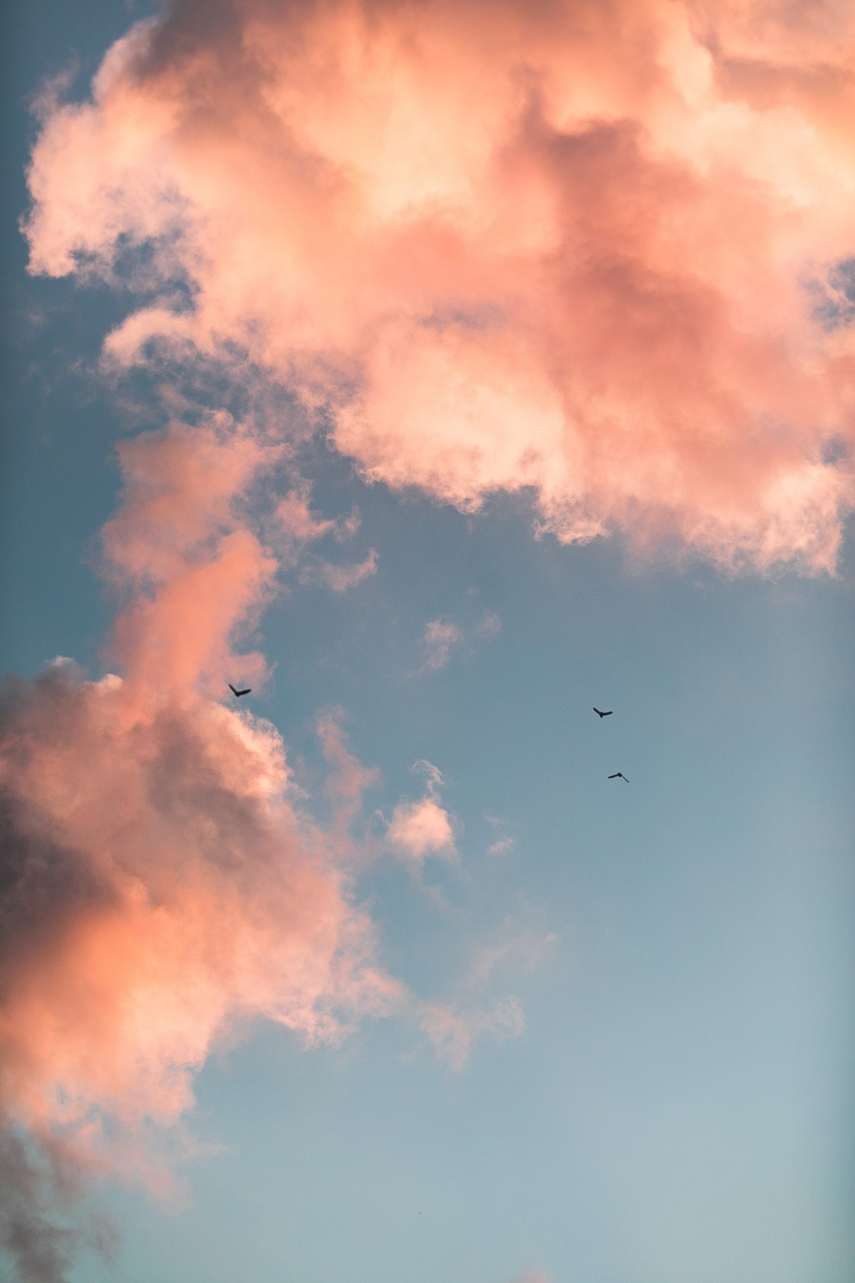 Ảnh bầu trời và những cánh chim - Kỷ Nguyên Làm Đẹp
