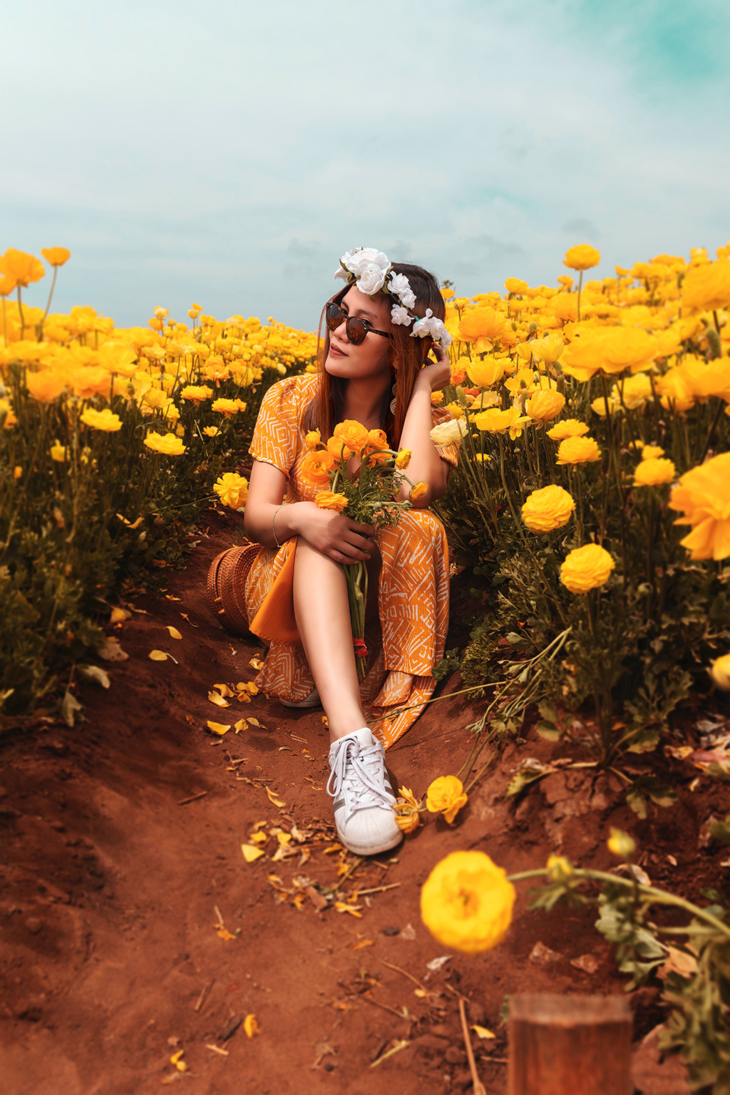 Hoa cúc vàng có ý nghĩa gì Thơ và hình ảnh hoa cúc vàng đẹp