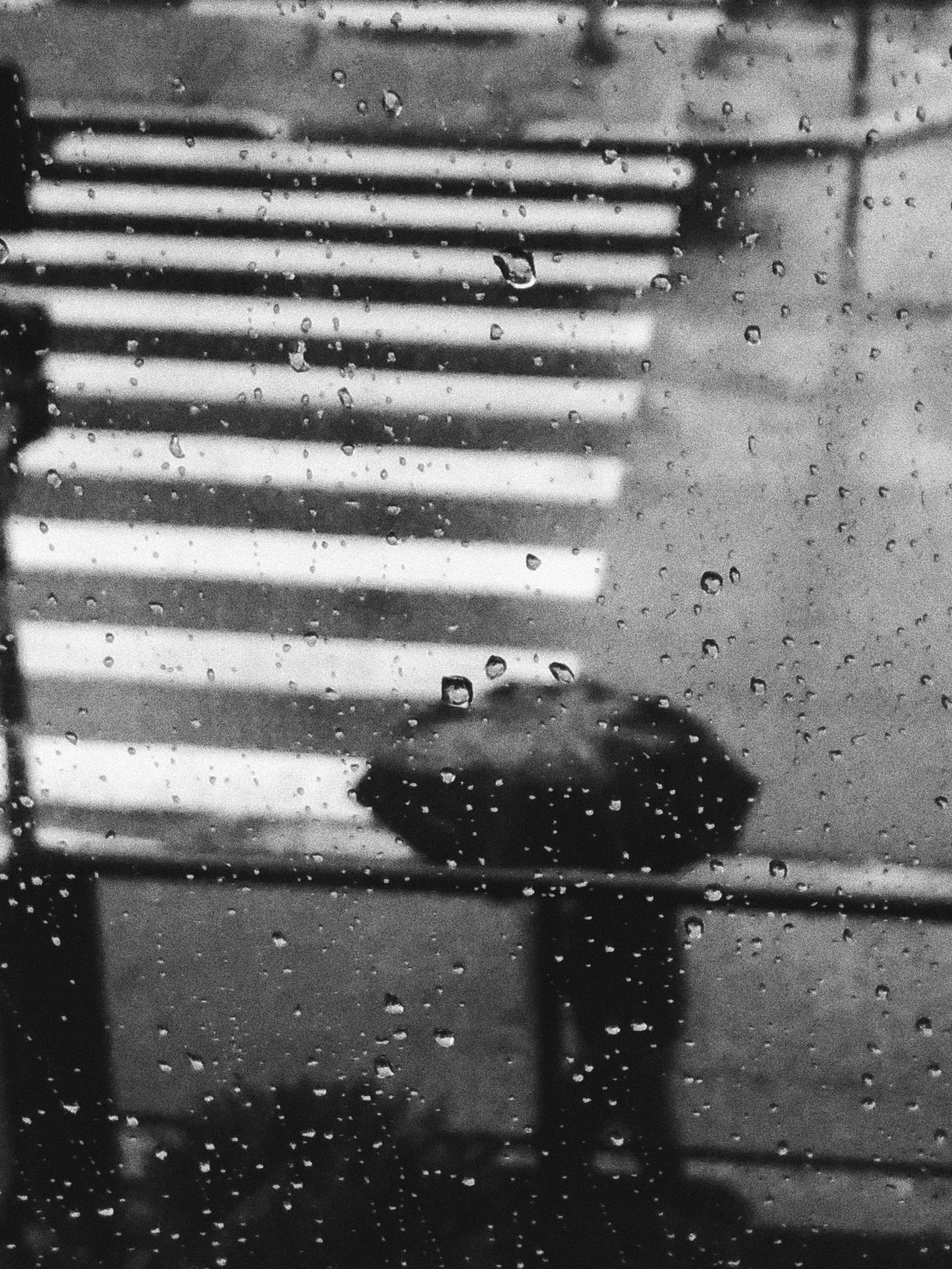 Hình mưa buồn: Những hình ảnh mưa buồn sẽ khiến bạn cảm nhận được những nỗi buồn và lẻ loi giữa những giọt mưa rơi. Tuy nhiên, đôi khi nó cũng mang đến cho chúng ta sự cảm động và sâu lắng. Hãy cùng chiêm ngưỡng những bức hình mưa buồn để thấm thoát và tìm thấy sự yên bình trong lúc buồn thảm.